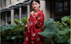 陈诗云微拍29部